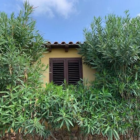 Villa Maveda, Un Dammuso Immerso Nel Verde Lampedusa Exterior foto